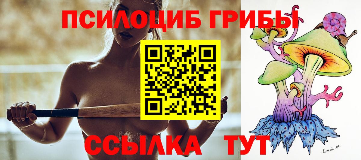Псилоцибиновые грибы ЛСД Печора