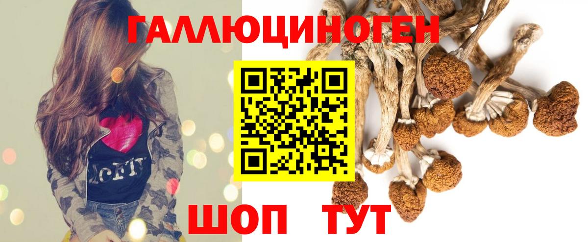Печора  Галлюциногенные грибы Magic Shrooms  Вход с VPN 